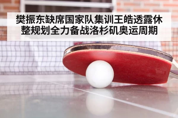 樊振东缺席国家队集训王皓透露休整规划全力备战洛杉矶奥运周期